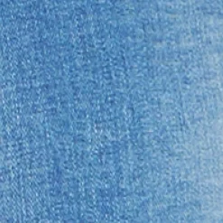 Baxter Boyfriend Short New Blue